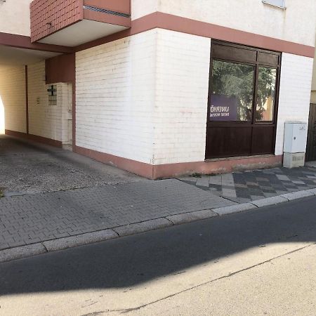 Monteurwohnung Im Zentrum Вормс Экстерьер фото